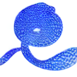 Basic Python Tutorial
