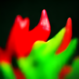 Chili Pepper Plant