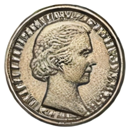 Coin Symbolizing Choice