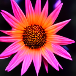 Flower Bloom