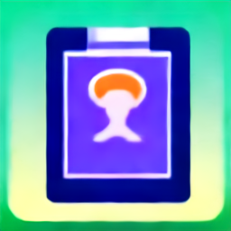 Government ID Validation Process