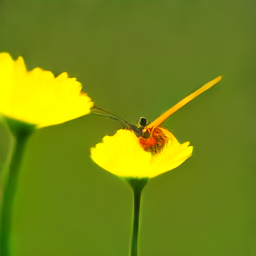 Yellow Grass