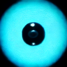 Hydrogen Atom Illustration