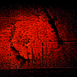 Rust Logo
