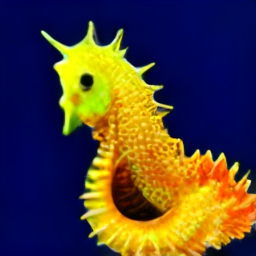 Seahorse