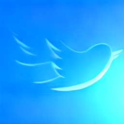 Twitter Icon